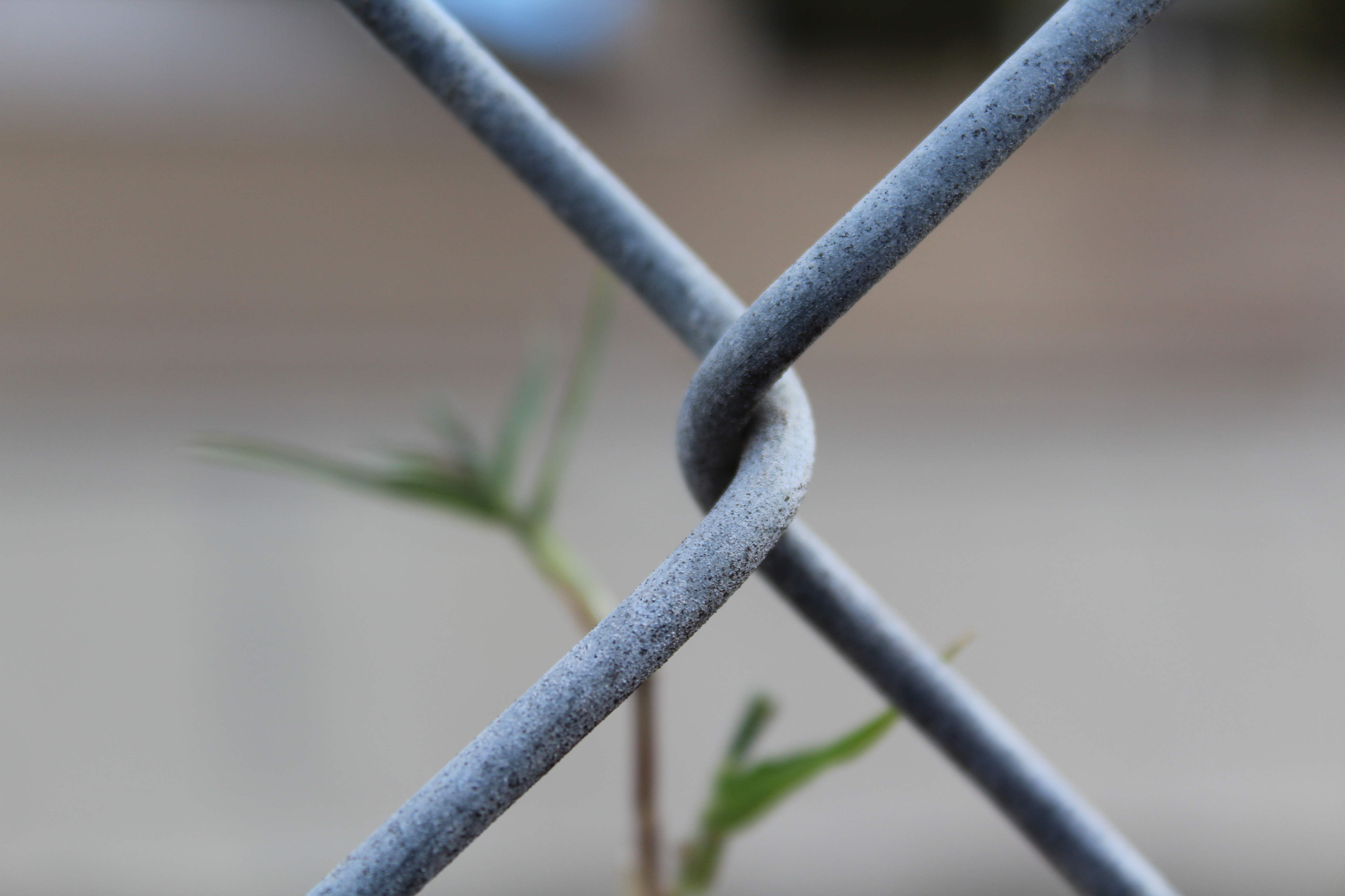 chainlink fence closeup